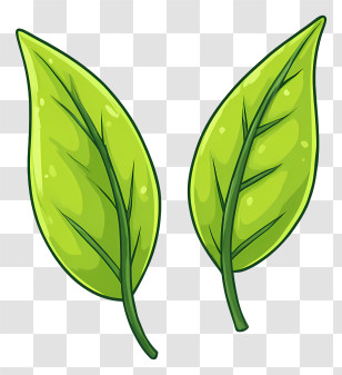 Green Tea Leaves - Fresh Green Leaves Illustration Transparent PNG