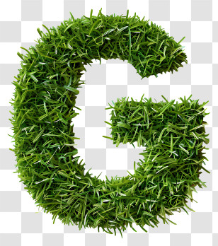 Letter G - Grass Textured Letter G Transparent PNG