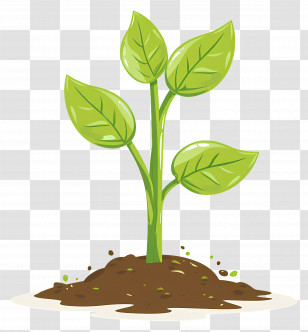 Plant Sprout - Young Plant Sprouting From Soil Illustration Transparent PNG