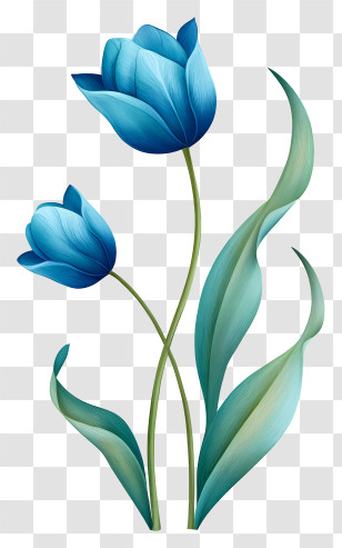 Blue Tulips - Blue Tulip Pair Illustration Transparent PNG