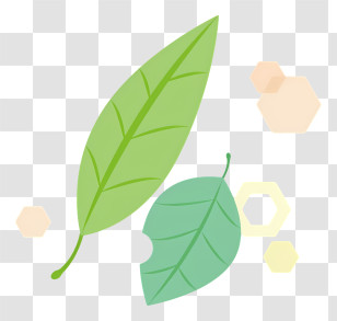Cartoon - Cartoon Green Leaves Illustration Transparent PNG