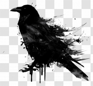 Black Crow - Artistic Black Crow Silhouette Transparent PNG