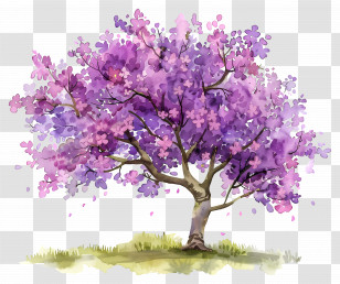 Flower Tree - Beautiful Watercolor Purple Blossom Tree Transparent PNG