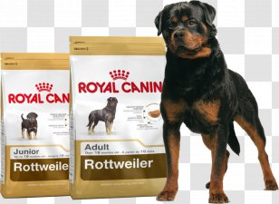 Rottweiler Dog Breed Puppy German Shepherd Border Collie Transparent PNG