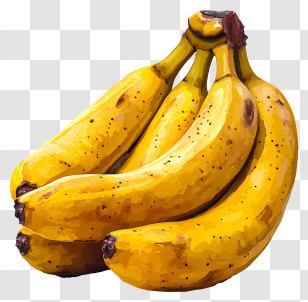 Banana - Fresh Yellow Banana Cluster Illustration Transparent PNG