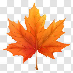 Maple Leaf - Bright Orange Maple Leaf In Autumn Transparent PNG