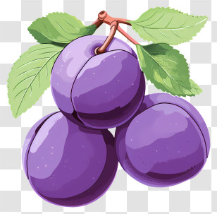 Hand Drawn Plum - Purple Plums With Green Leaves Transparent PNG