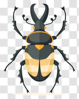 Rhinoceros Beetle - Detailed Beetle Insect Illustration Transparent PNG