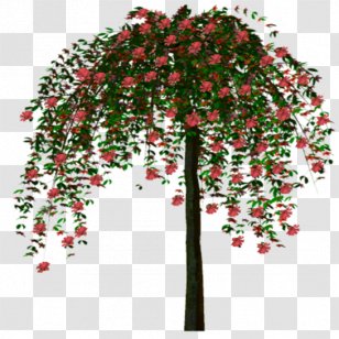 Twig Tree Forest Tour D'arbre - Branch Transparent PNG