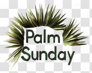 Palm Sunday - Palm Sunday Celebration Design Transparent PNG