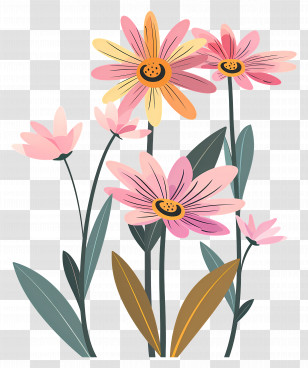 Daisy Pink Flowers - Delicate Pink Daisies Illustration Transparent PNG