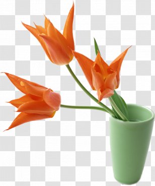 Vase Bomb Decorative Arts Ceramic - Tulip Transparent PNG