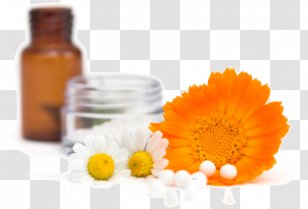 Bach Flower Remedies Homeopathy Medicine Therapy Alternative Health Services Transparent PNG