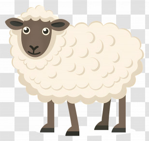 Sheep - Cute Cartoon Sheep Illustration Transparent PNG