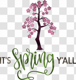 Spring Spring Quote Spring Message Transparent PNG