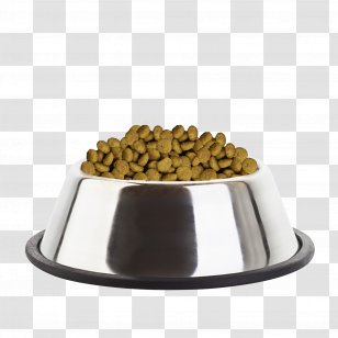 Puppy Cat Food English Toy Terrier Dog Eukanuba - Tableware Transparent PNG