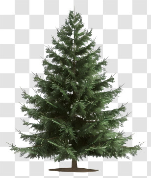 Fir Tree - Realistic Christmas Tree Decoration Transparent PNG