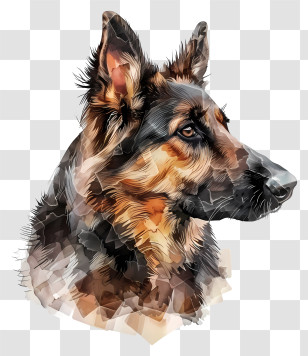 Shepherd Dog - Realistic German Shepherd Dog Portrait Transparent PNG