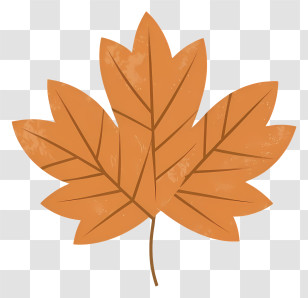 Brown Leaf - Autumn Maple Leaf Illustration Transparent PNG