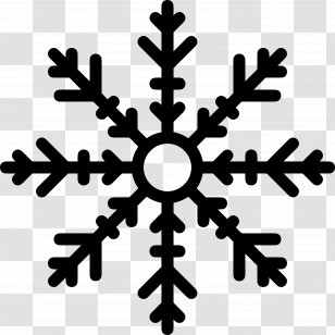 Snowflake - Black Snowflake Winter Icon Transparent PNG