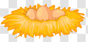 Egg - Yellow Nest With Eggs Transparent PNG
