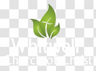 Logoworks Graphic Design Transparent PNG