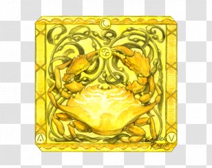 Organism Rectangle Animal Pattern - Cancer Astrology Transparent PNG