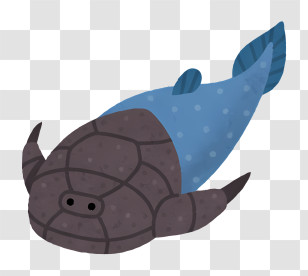 Icon - Cartoon Fish Transparent PNG