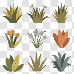 Garden Plants - Stylized Decorative Plant Set For Design Projects Transparent PNG
