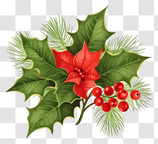 Christmas Poinsettia - Holly Plant With Red Berries For Christmas Transparent PNG