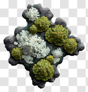 Lichen - Vibrant Coral Reef Illustration Transparent PNG