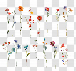 Flower Background - Delicate Watercolor Flowers In Artistic Style Transparent PNG