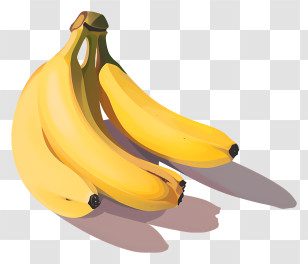 Bananas - Realistic Yellow Bananas Illustration Transparent PNG