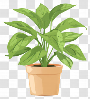 Plant In Pot - Green Leafy Houseplant In Terracotta Pot Transparent PNG