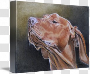 Vizsla Weimaraner Painting Gallery Wrap Canvas - Snout Transparent PNG
