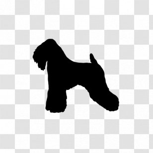 Miniature Schnauzer Puppy Soft-coated Wheaten Terrier Dog Breed Yorkshire - Silhouette - Muddy Water Transparent PNG