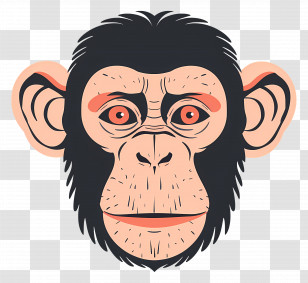 Monkey Head - Chimpanzee Face Illustration In Cartoon Style Transparent PNG