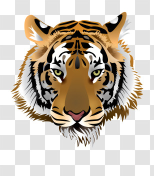 Tiger Logo - Tiger Head Illustration Art Transparent PNG