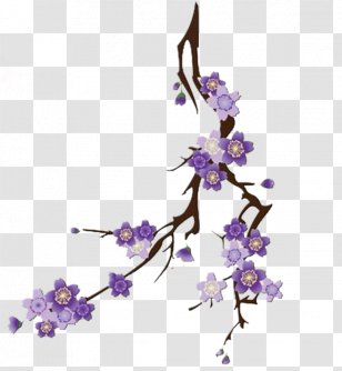 National Cherry Blossom Festival Paper - Flowering Plant Transparent PNG