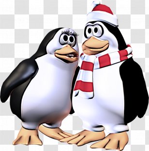 Penguin - Bird - Beak Gentoo Transparent PNG