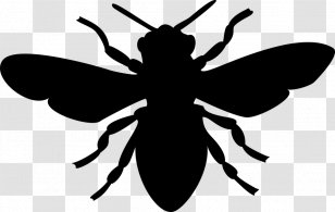 European Dark Bee Silhouette Clip Art - Organism Transparent PNG