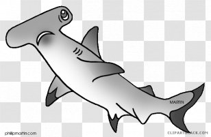Great White Shark Clip Art Hammerhead Shortfin Mako - Carcharhiniformes Transparent PNG