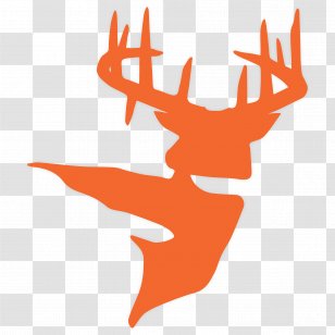 Elk White-tailed Deer Big-game Hunting - Drawing - White Transparent PNG