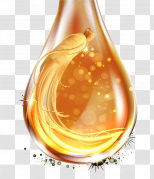 Essential Oil - Drop - Vector Forcing Ginseng Material Transparent PNG