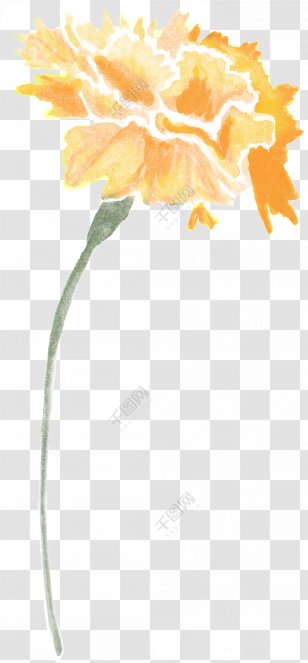 Image Watercolor Painting Download - Petal - Vintage Theme Transparent PNG
