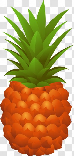 Pineapple Cdr - Vector Transparent PNG
