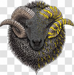 Illustration Insect Wing Snout Terrestrial Animal - Horn - Media Transparent PNG