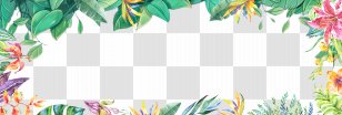 Summer Fresh Hand Painted Plant Borders - Designer - Pattern Transparent PNG