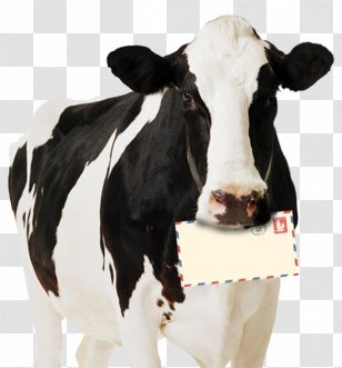 Holstein Friesian Cattle Highland Standee Dairy Paperboard - Wall - Pongal Festival With Cow Transparent PNG