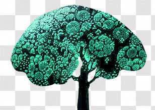 Download Clip Art - Tree - Big Banyan Green Glow Transparent PNG